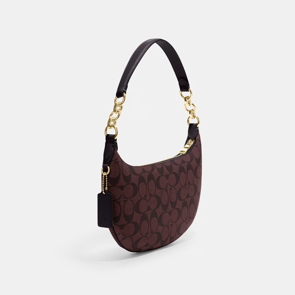 Coach Payton Hobo Bag In Signature Canvas